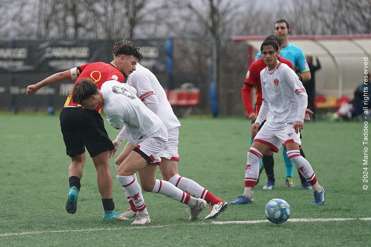 Grifo, heavy knockout for the Primavera: Benevento wins 5-1