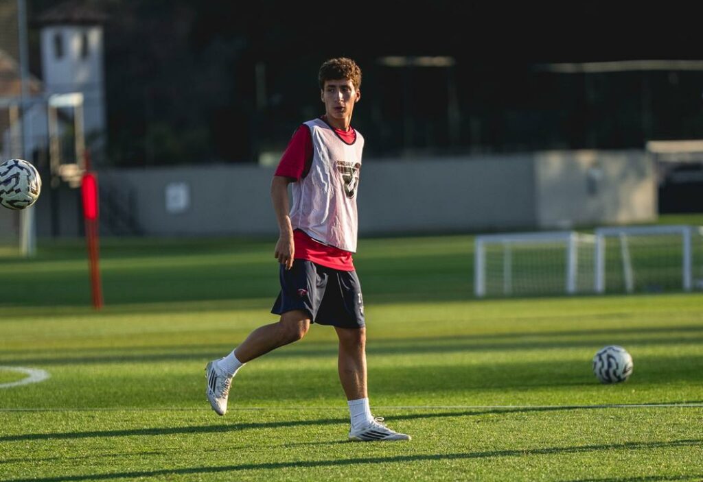 Michelangelo perugini