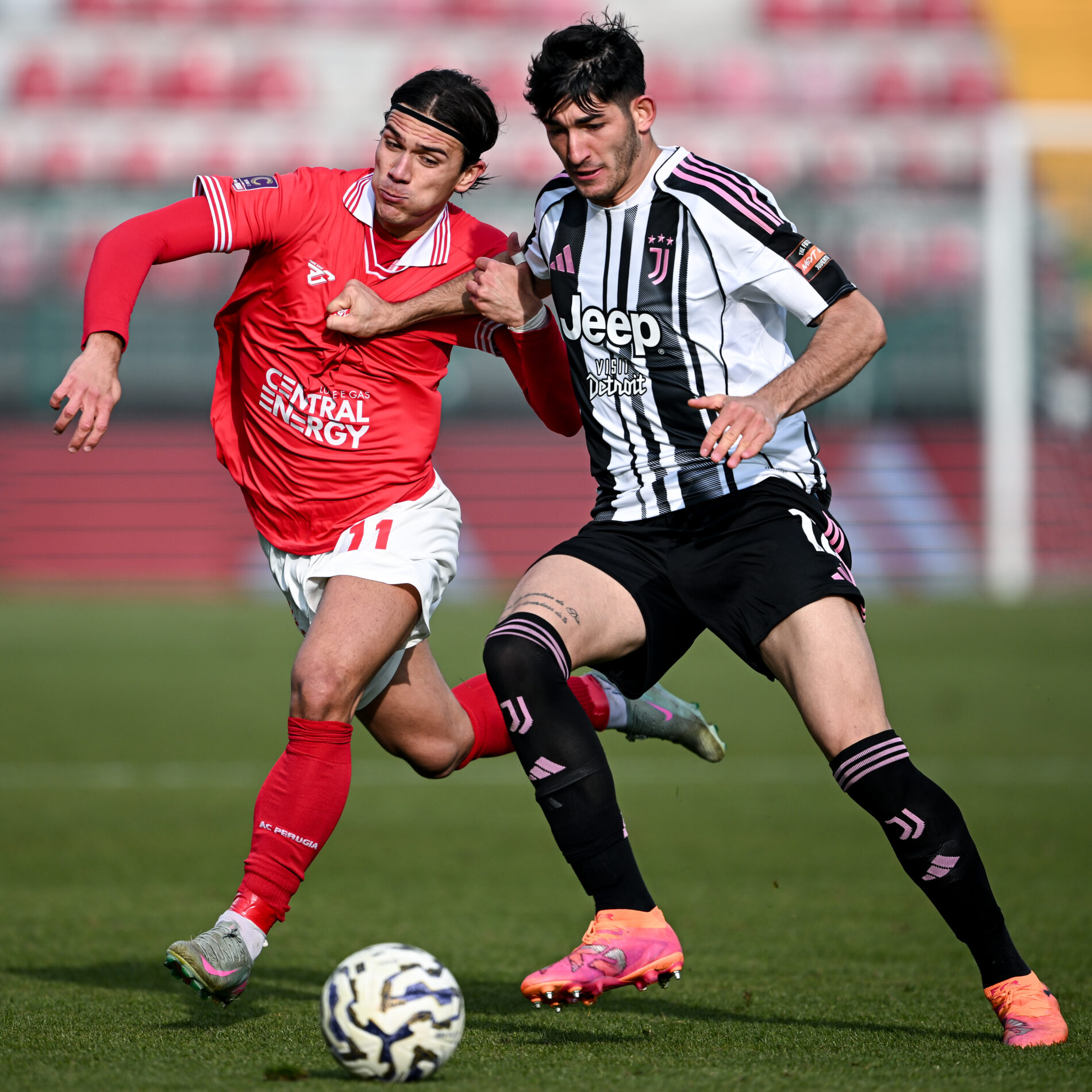 Bacchin Perugia