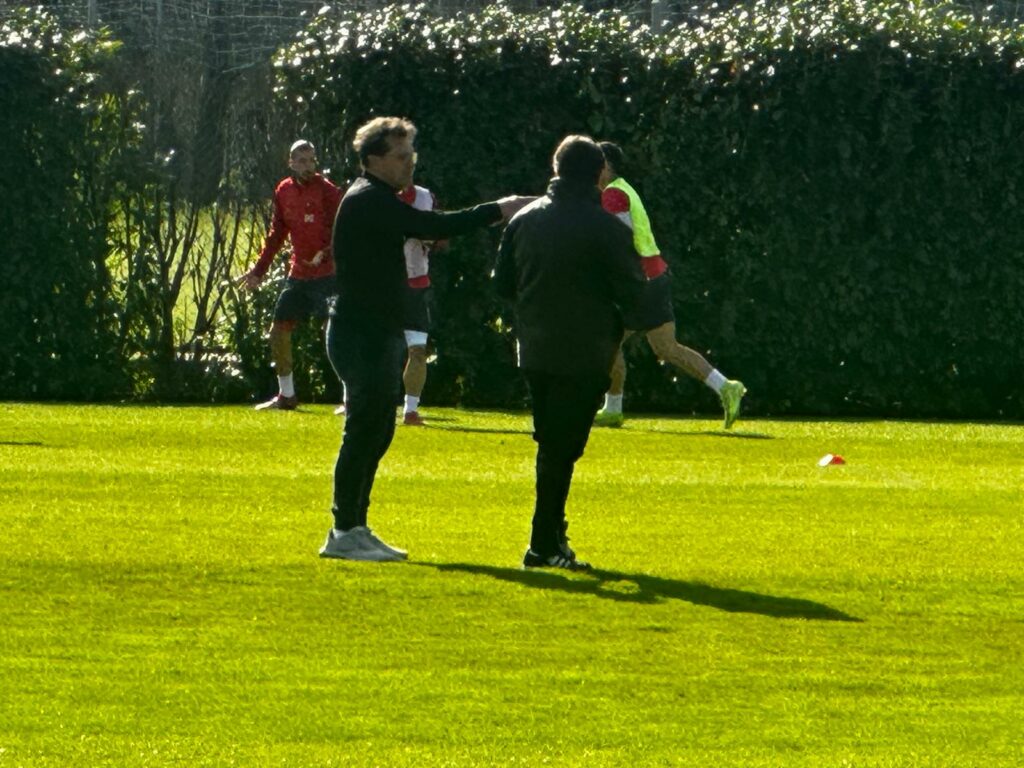 novellino e tedesco perugia