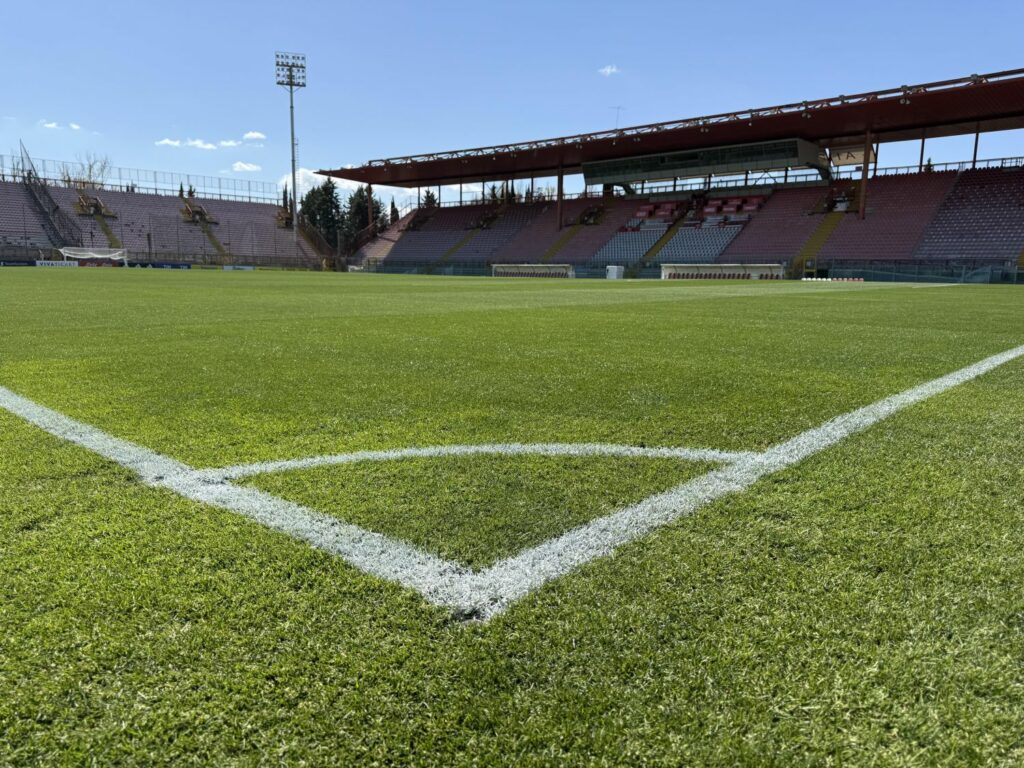 stadio Curi