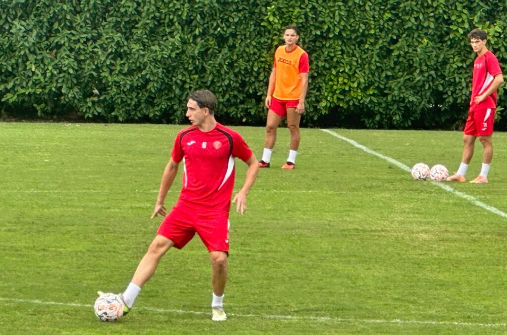 matteo angeli