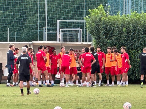 diana spiega al gruppo perugia